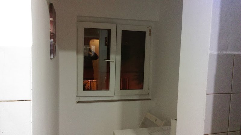 Teiul Doamnei, Domino,