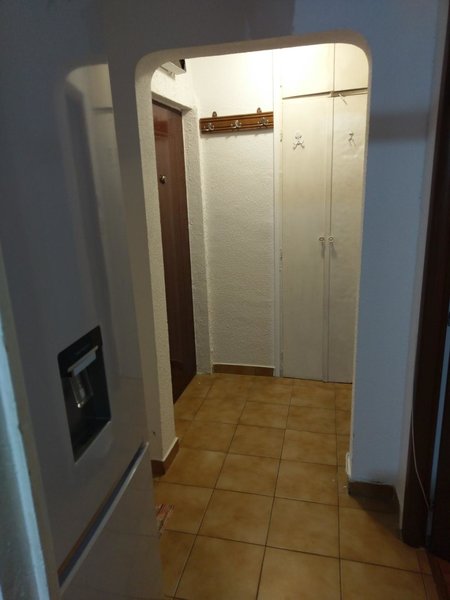 Teiul Doamnei, Domino,