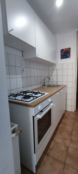 Teiul Doamnei, Domino,