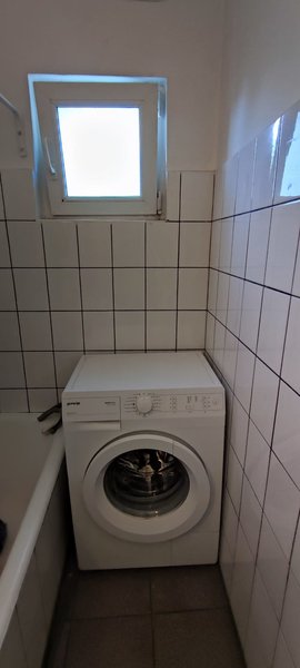 Teiul Doamnei, Domino,